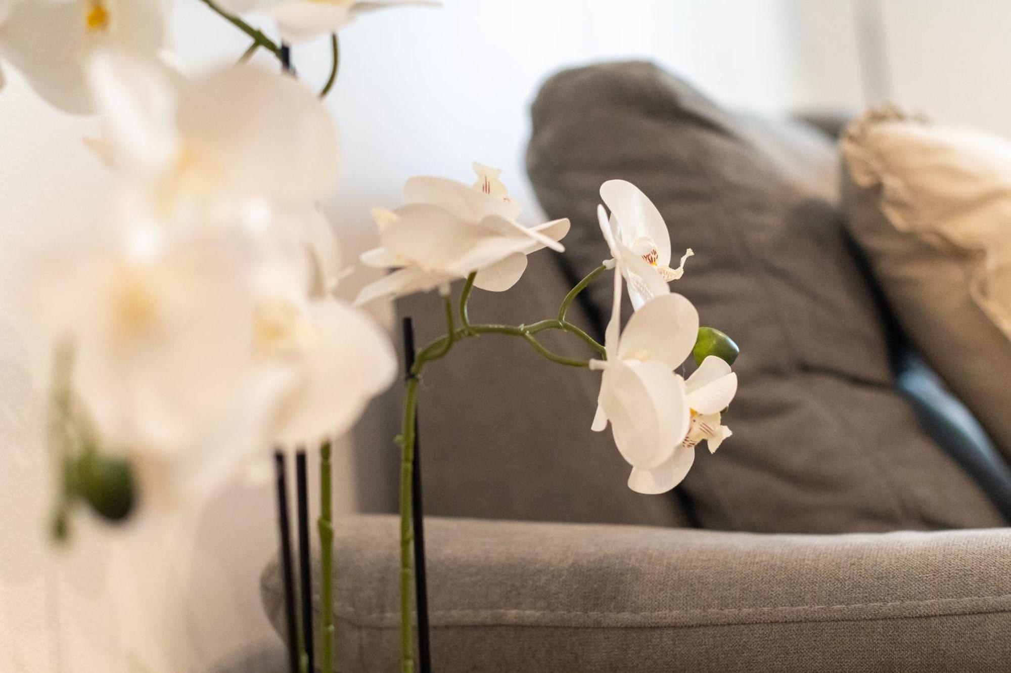 Apartment K&L,ซาดาร์ ภายนอก รูปภาพ
